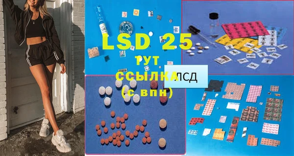 PSILOCYBIN Алексеевка