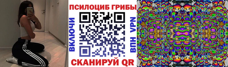 купить наркоту  Малоархангельск  kraken как зайти  Галлюциногенные грибы Magic Shrooms 